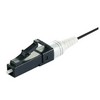 FOC-XPF-