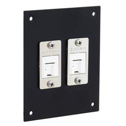 Universal Sub-Panel, 2 Category 5e Tool-less PoE+ Compliant Jacks的图片