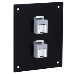 Universal Sub-Panel, 2 110 Category 6A Tool-less PoE+ Compliant Jacks的图片