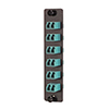 Fiber Sub Panel, 6 LC Duplex 10G Couplers, Ceramic Sleeve的图片