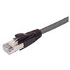 特优型超6类线缆，RJ45/RJ45，灰，1英尺（0.3米）的图片