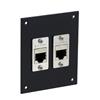 通用系列面板，带两个超6类耦合器，RJ45，屏蔽的图片