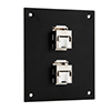 Universal Sub-Panel, 2 110 Shielded Category 6 Tool-less PoE+ Compliant Jacks的图片