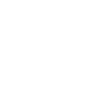 Same day shipping icon